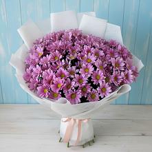 Букет цветов из:  Хризантемы в Алексине