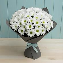 Букет белые хризантемы #REPLACE_PRED# Алексине Букет цветов из:  Хризантемы #REPLACE_PRED# Алексине